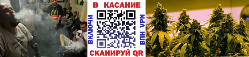 Виды наркотиков купить Отрадное Гашиш Конопля Амфетамин МЕФ Псилоцибиновые грибы А ПВП