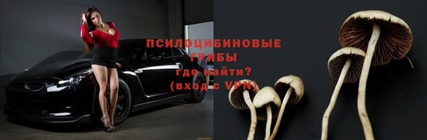 соль курить ск Михайловск