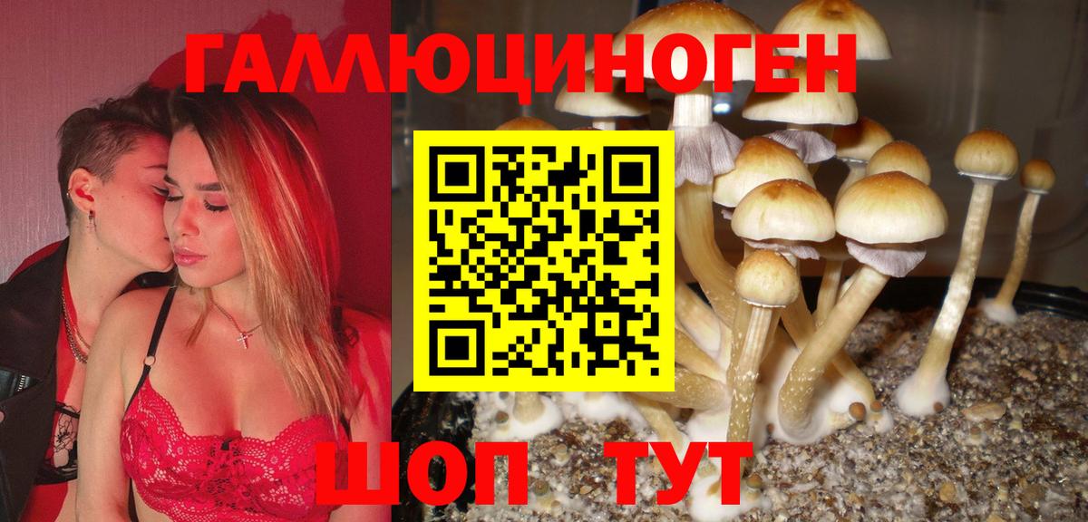 Галлюциногенные грибы MAGIC MUSHROOMS  Вход с VPN  Отрадное 