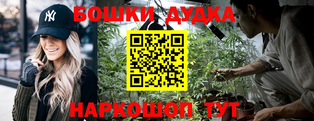 Канабис гибрид Отрадное